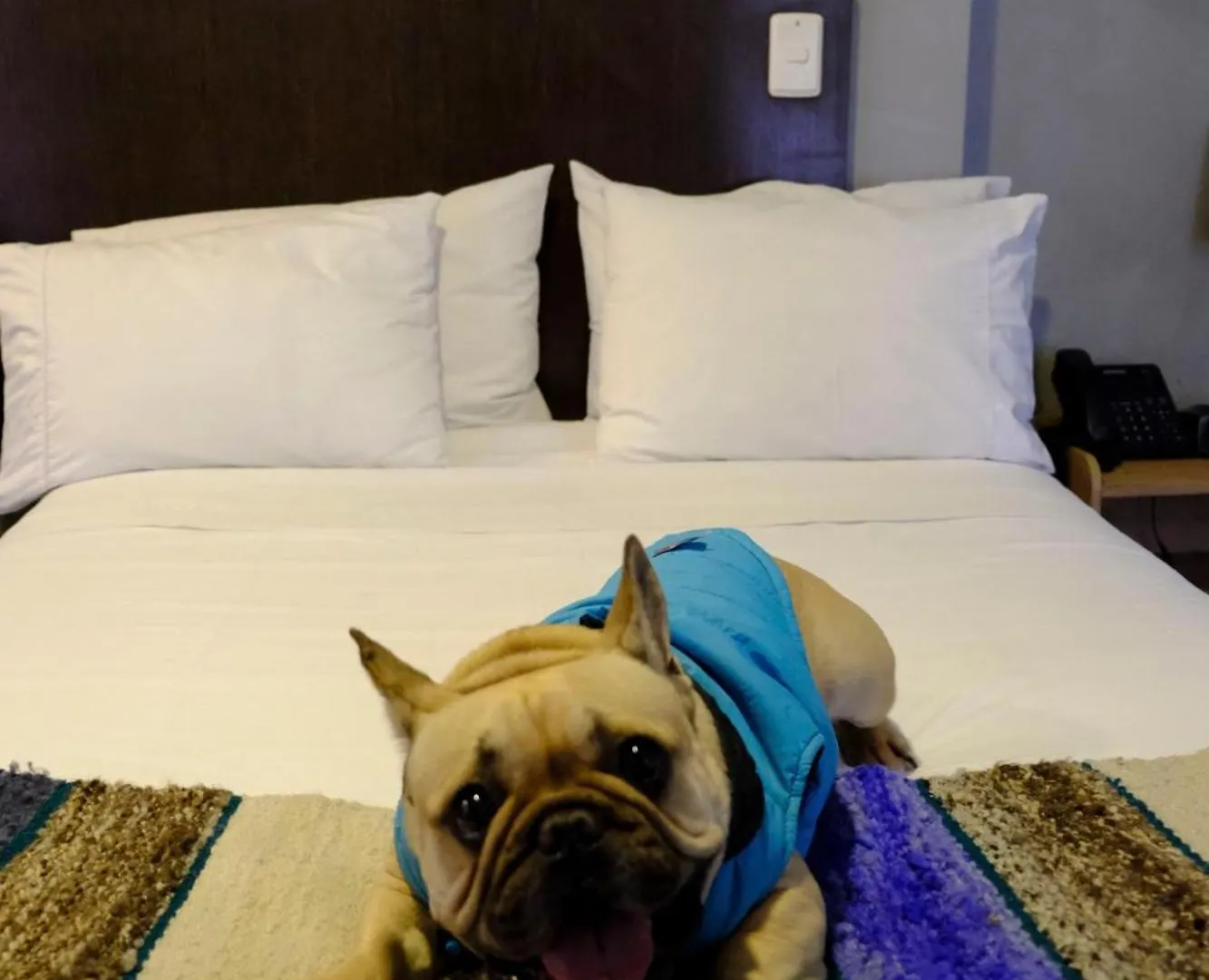 Hotel Dc Feria Bogotá
